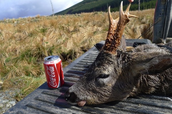 Langt å bære ja... Smaker godt med en Cola da