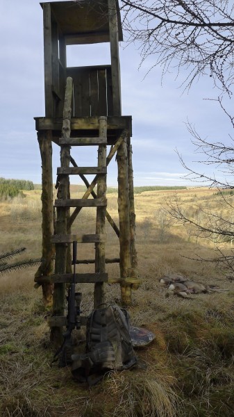 Tårnet på Timberroad med god utsikt