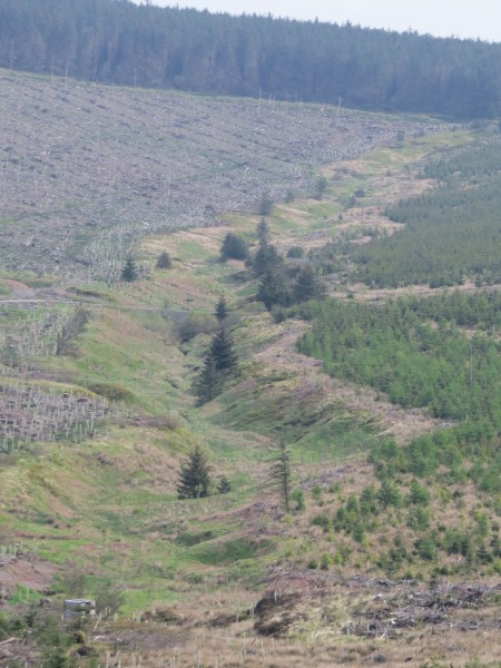 Mange fine steder i Greensykes hvor bukken lett gjemmer seg bort