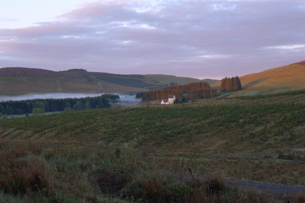 Lørdag morgen var jeg bak slaktehuset, hvor jeg så 2 dyr uvisst hvilket kjønn. Var laaaang avstand